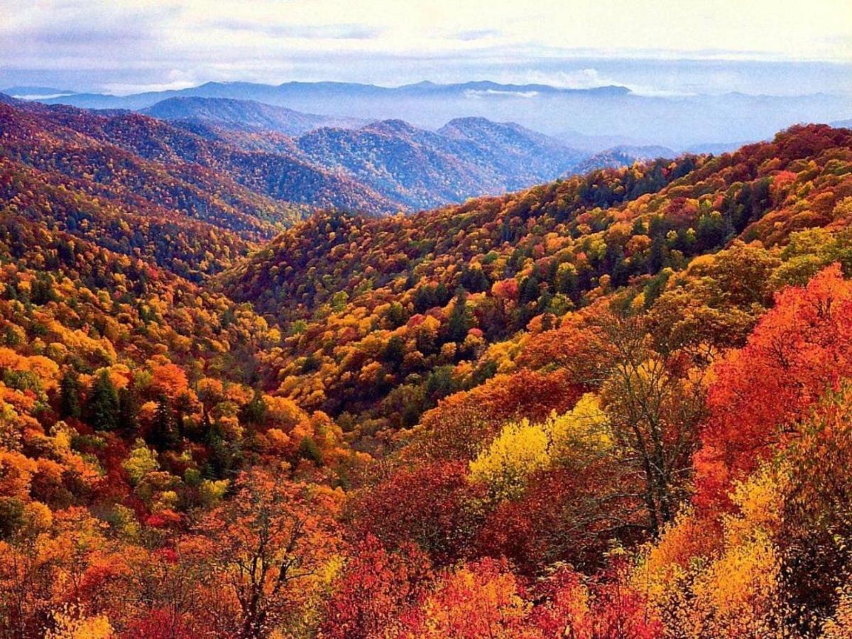 Wow Views!!-Mountain Escape-Outdoor Pool-Close To Downtown-Wifi-Cable-Private Balcony Gatlinburg Exteriér fotografie